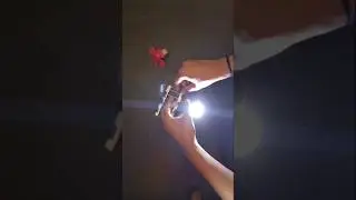 The varity type of to glow bulb and check the motor #lightbulbmoment