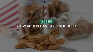 How Stahmanns Bulk Pecans Are Produced