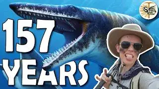 Old Bones, New Science | The Tylosaurus Holotype
