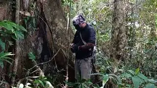 TREASURE BESIDE THE DURIAN TREE// Explored and Locate!(EXPLORER TH)