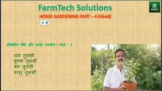 Home Gardening Part-4, Medicinal Plants Part-1 (Hindi), Tulasi Plant Varieties and It's Uses