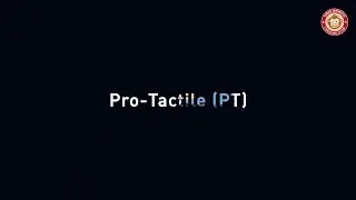 Pro-Tactile (PT) Preview