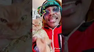 iAmMoshow & Dj Ravioli - Cat Barz freestyle