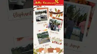 Fall Festival Season!