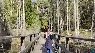 Tour Swedish Nature with International Students in Sweden - Tyresta National Park