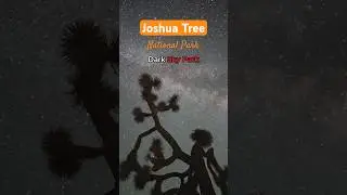 Наблюдение за звездами в национальном парке Джошуа-Три #темноенебо #наблюдениезазвездами #путешес...