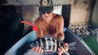 PERSISTENCE is Required for HUGE Sheepshead at St. Petersburg, Florida