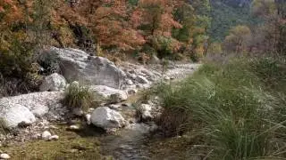 Mckittrick Canyon Fall