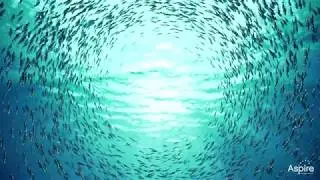 One Minute Breathing Exercise