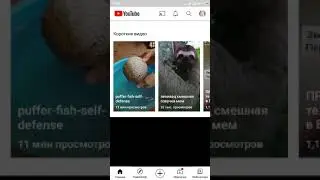 Как сделать короткое видео из обычного видео. Какие видео попадают в короткие видео на телеыоне