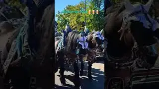 OKTOBERFEST 2025 🍺🍺🍺 #music #festival #beerfestival #germany #oktoberfest #shortvideo #shorts #beer