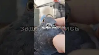 Электрики с опытом подтвердят😁 #интересно #история