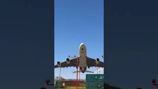 Crazy Cow Came Accidently During Landing On Airport emergency alert