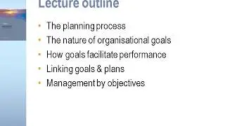 Establishing Organisational Goals and Plan