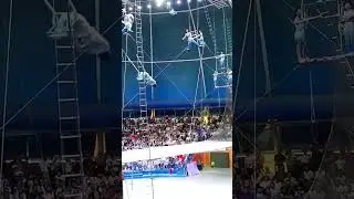 Circus hi circus.. #circusworld #haradhankumar #viralshort #trendingshorts #viralvideo #circus