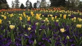 What's Beautiful in Spring at the NYBG