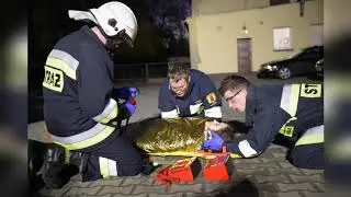 Jutrosin. Dzieje się. 12.01.2020 - WOŚP - Pokaz OSP Jutrosin