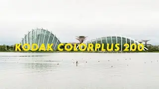 Shoot Film at Bay East Garden