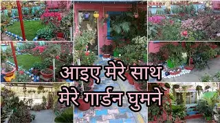 Spring Season Garden overview | February मे खिले फुलोंकी एक झलक | चलिये आज Garden Overview करते हैं