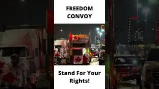 Freedom Convoy: Protect Your  Crypto Wallet
