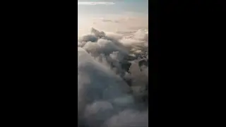 Finley Todd - Head in the clouds
