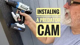 Chicken Coop Predator Cam