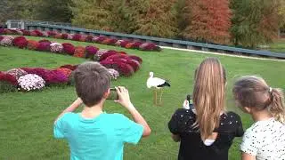 Schlossg&auml;rten Arcen 2020
