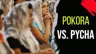POKORA VS. PYCHA
