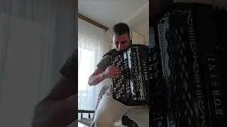 Tri Ruze Halid Beslic Forspil Harmonika #cover #music