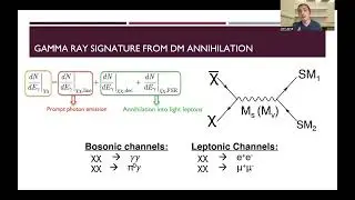 55. MeV Gamma Ray Signatures from Dark Matter Annihilation and Evaporating Primordial...