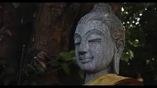 Temples of Thailand | Cinematic Reel | Part 1 | BMPCC4K