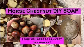DIY Conker Soap! ( Horse Chestnut soap)