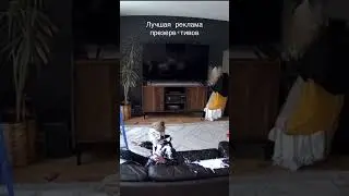 #мемы