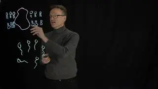 Лекция 08, концепция 05: Мембранные белки были кристаллизованы путем солюбилизации в детергенте