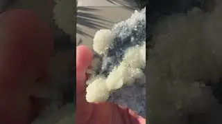 Scholzite on Matrix | Fine Art Minerals | Scholzite |