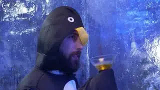 PHIBUS LE PINGUOIN ALCOOLIQUE - Amixem