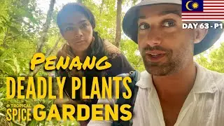 Deadly Plants at the Tropical Spice Gardens | Batu Ferringhi, Penang | Malaysia - Day 63, Part 1