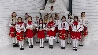 Grup Vocal IPG Floreni-  Crenguță de brad