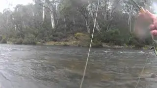 Contact Nymphing with split shot