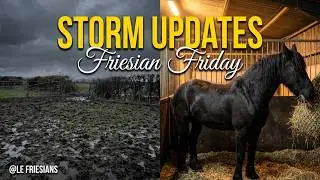 Friesian Friday Update  Muddy Mornings, Stable Days & January’s 3rd Storm