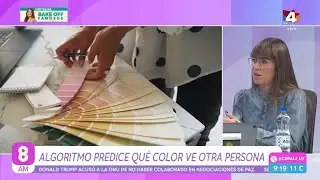 8 AM - Color perception and the brain