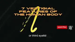 7 Vestigial Features of the Human Body