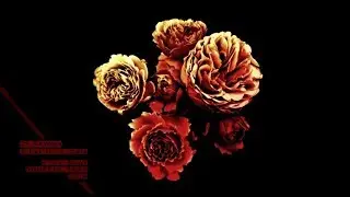 Soulful Trap Type Beat 21 Savage Type Beat 2019 
