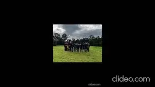 Circles Life Coach Melbourne | Circles Life Coach in Melbourne