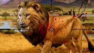 In the 2023 wildlife hunt The best offline hunting game