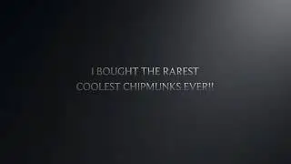 White Chipmunks trailer 2019! Meet the chipmunks!
