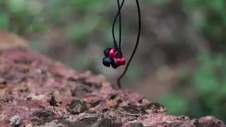 MI in ear Basic Headphones Review