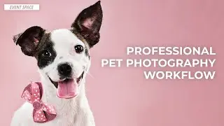 Professional Pet Photography Workflow | B&H Event Space