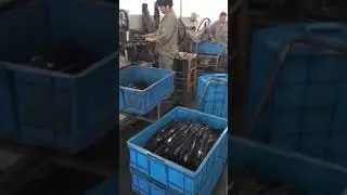 Plasma surface treatment for rubber