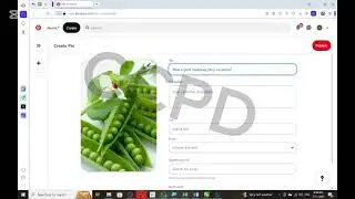 Digital Marketing Course Pinterest Course Sialkot Cantt #ccpd #courses #education #digitalmarketing